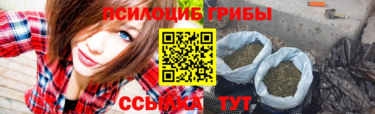Галлюциногенные грибы Magic Shrooms  сколько стоит  Вход с VPN  Солнечногорск  Галлюциногенные грибы GOLDEN TEACHER 